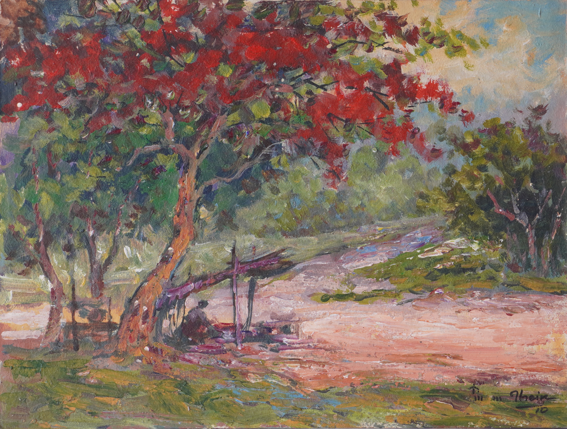Red Sein-pan (Flame Tree)